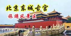 啊哈舔操作中国北京-东城古宫旅游风景区